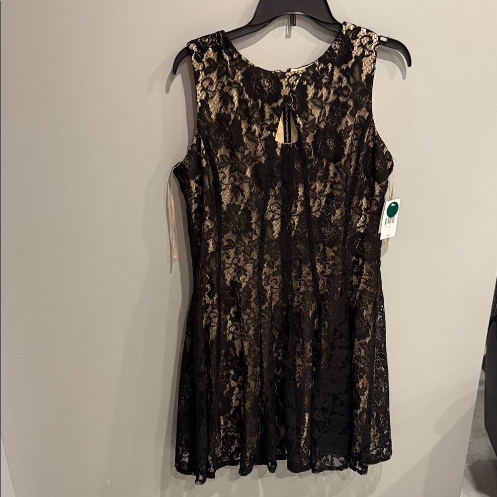 Sleeveless Black Lace Overlay Dress with Nude Lining - Picture 2 of 6